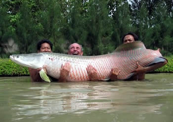 This is one big fish!