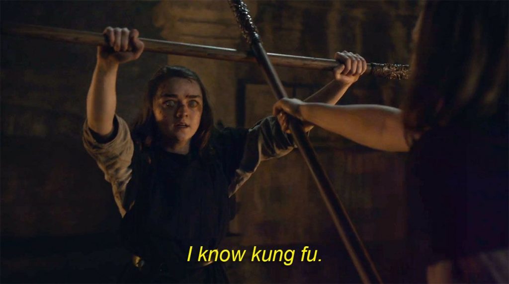 arya-kungfu.0